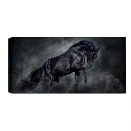 Картина на платно PWF-0403 с дигитален печат 80x4x30см